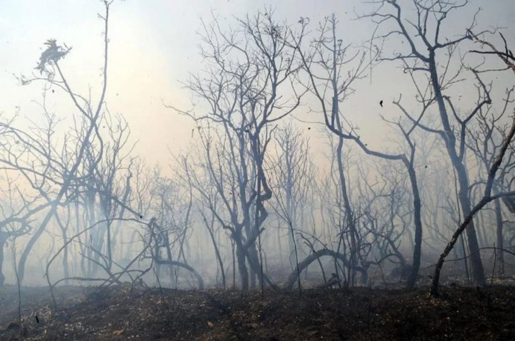 Justiça mantém multa de R$ 12 milhões a autor de incêndio em parque do DF