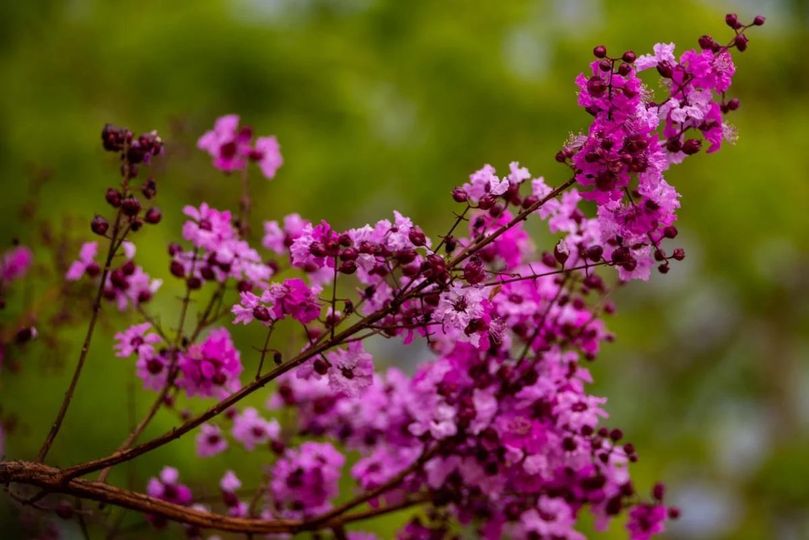 Com promessa de chuvas, DF entra na primavera nesta terça-feira