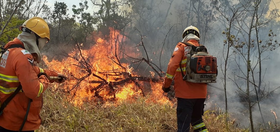 Incêndio atinge área de proteção ambiental do Palácio do Jaburu, em Brasília